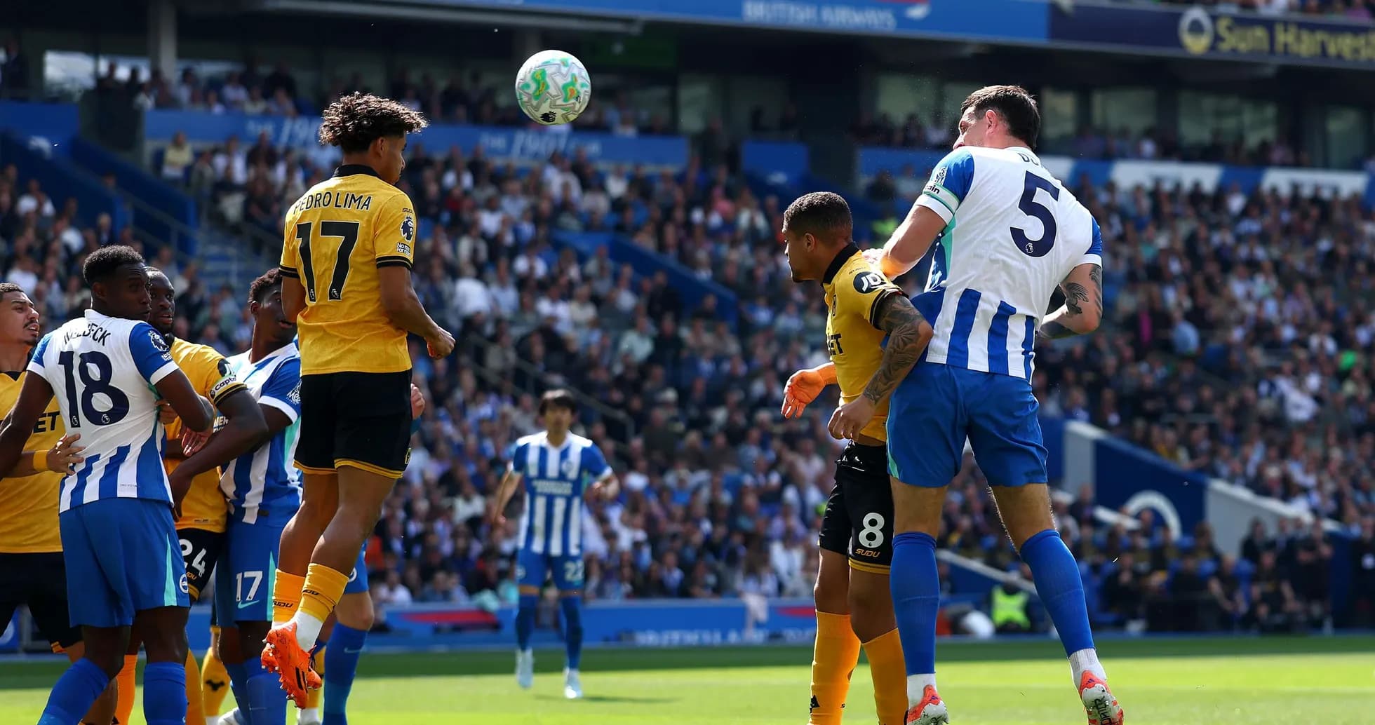 Acción de juego entre Brighton y Wolves